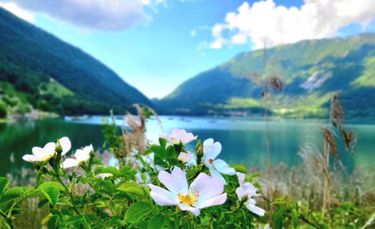 Emozioni Al Lago Фара д'Алпаго Екстериор снимка